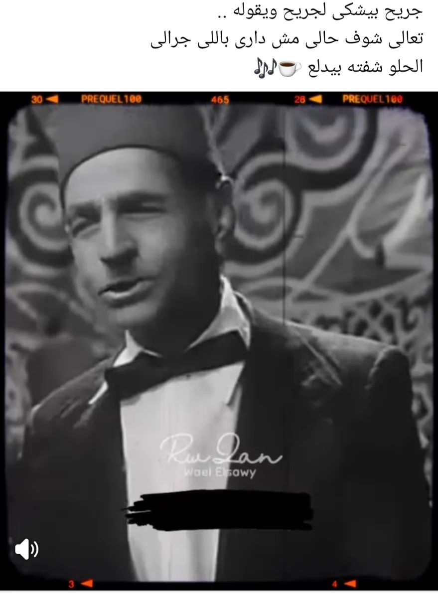 محمد السيد